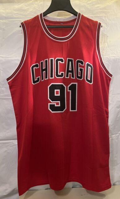 Dennis Rodman Chicago Bulls Autographed Black and Red Pinstripe Mitchell &  Ness Replica Jersey