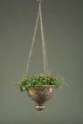 Hanging Basket Hanging Flower Pot Metallamphore Antique Gold Planter Bowl Shabby