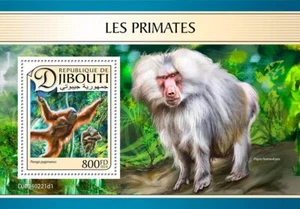 Primates Monkeys MNH Stamps 2024 Djibouti S/S - Picture 1 of 1