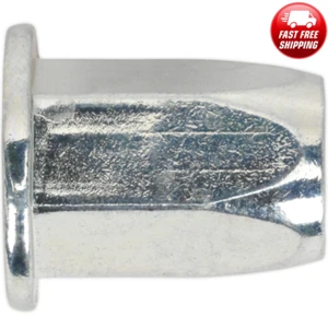 100 x M4 Tuerca Riv inserto roscado (tuerca de remache) brida hexagonal completa Sealey - Imagen 1 de 5