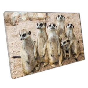 Adorable Meerkat Family Canvas Print: Wildlife Photography Wall Art for Home - Picture 1 of 10