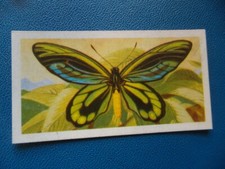 Great Britain Brooke Bond original 1964 teacard "Butterflies of the World" No.16