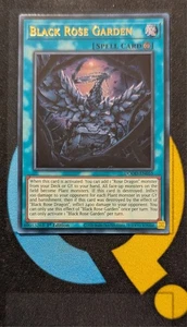 DOOD-DE055 Schwarzer Rosengarten Ultra Rare 1. Auflage YuGiOh Preorder - Bild 1 von 3