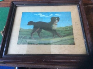 An old vintage print framed of A Dog part of a pair - Picture 1 of 3