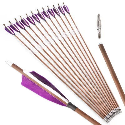 6/12 X 31'' Archery Arrow Pure Carbon SP340-600 ID6.2mm Natural Feather Shooting - Image 1 of 4