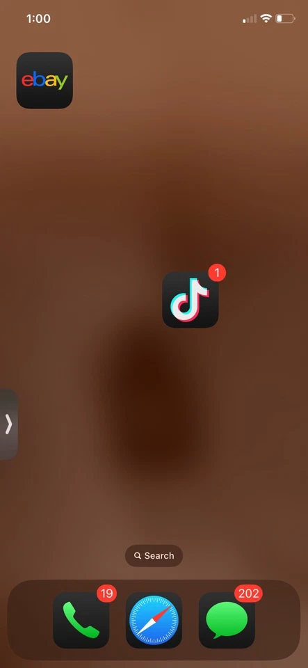 iPhone Se With TikTok On It - Image 1 of 1