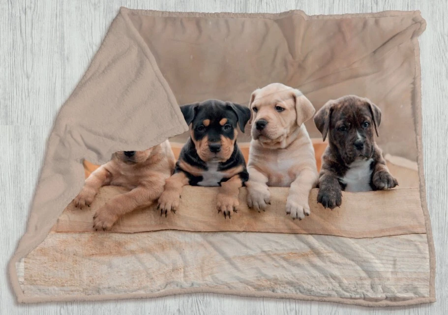 plaid coral Fleece singolo 150x200 caldo pile coperta cani gatto orso stampa 3d - Immagine 1 di 1