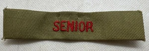 BSA Older "Senior" Khaki PATCH Program Strip - Picture 1 of 2