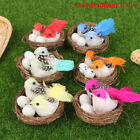 1 Set Artificial Feathered Birds & Nest & Egg Creative Craft Birds Sculpture L.M