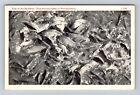 Pymatuning Lake PA-Pennsylvania, Fish at Spillway on Lake, Vintage Postcard