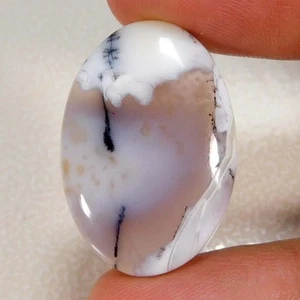 Precioso cabujón ovalado ópalo dendrítico natural 24,35 quilates Piedras preciosas sueltas - Imagen 1 de 3