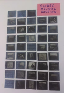 43 Glass Magic Lantern Slides Deborah Gideon Holy Land Series b&w - Picture 1 of 24