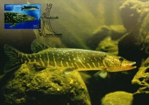 Pike Fish Esax Lucius Fishing Flies Fish Finland Maxi FDC Card 2003 - Picture 1 of 1