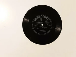 Aldo Pagani – Down In The Valley - Disco Flexi Single Sided Vinile 7" ITALIA - Imagen 1 de 1