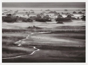 Postcard Sebastiao Salgado Zambia Kafue National Park 2004 MINT Oversize - Picture 1 of 1