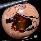 Mexican Fire Opal 11.10Cts 100% Natural Fire Opal Round Cab 16X07mm Gemstone  St