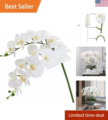 Elegantes orquídeas Phalaenopsis blancas de 38 pulgadas con tacto real - Juego de 2 para el hogar y con... Foto 1 de 4
