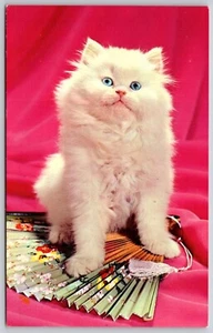 Postcard Her Ladyship Fluffy White Kitten Cat Blue Eyes Folding Fan Pink Chrome - Picture 1 of 2