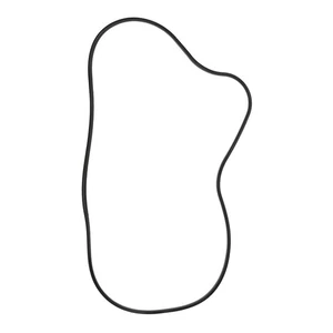 SPI Chaincase Gasket for Polaris Snowmobiles some 2016-2021 Replaces OEM 5814070 - Bild 1 von 3