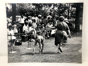 Original Vintage Oversized 20x16 Mounted Photo - Great Danes, Dog Contest - Picture 1 of 8