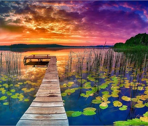 1000 Piece Jigsaw Puzzle for Adults and Families - 20x30 inch HD Quality Landsca - Picture 1 of 11