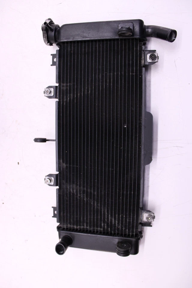 17-19 KAWASAKI Z650 ZR650 ABS ENGINE RADIATOR MOTOR COOLER COOLING RADIATER - Image 1 of 4
