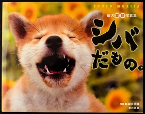 Japanese Photo Book Photo Album Japan Cute animals - Foto 1 di 10