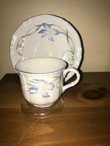 Taza y platillo floral Villeroy & Boch RIVIERA VITRO 1748 Alemania (elección de talla) - Imagen 1 de 9