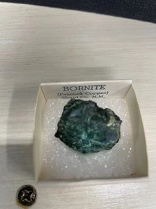 BORNITE PEACOCK COPPER GRANT COUNTY NEW MEXICO Stone Rock nugget. - Picture 1 of 1
