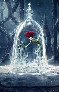 Disney Beauty And The Beast Red Rose Large Wall Art Framed Canvas Picture 20x30"