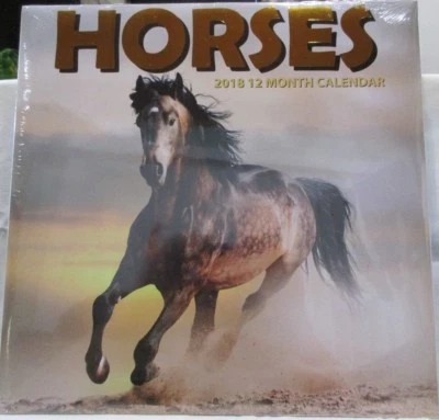 Calendario Caballos 2018 12 Meses Pinto Palemino Negro Marrón Carrera 12" X 12" Foto 1 de 4