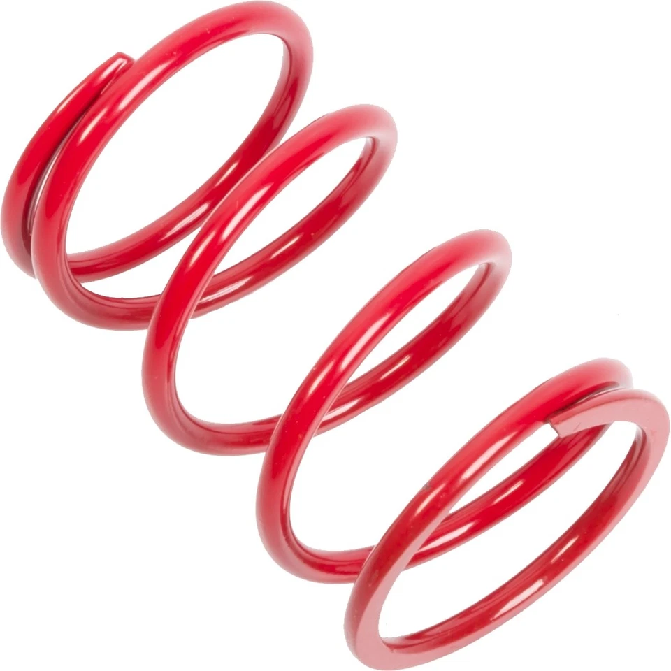 EPI Primary Clutch Spring (Drive) Foto 1 de 1