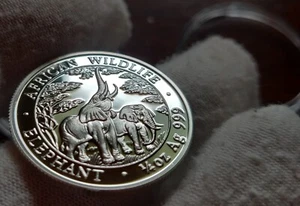 2003 Zambia Elephant, African Wildlife, PROOF, 1/4oz Silver Coin, 1000 Kwacha - Picture 1 of 3
