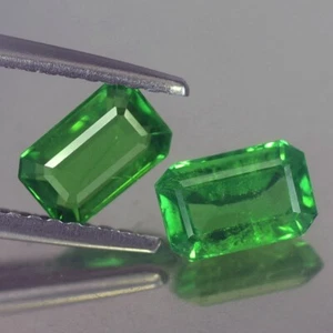 1.41CT GORGEOUS AA PAIR OCTAGON UNHEATED GREEN TSAVORITE GARNET NATURAL - Picture 1 of 3