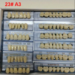 168pc Acrylic Resin Denture Full Set Teeth Upper Lower Shade Tooth Dental 23# A3 - Picture 1 of 1