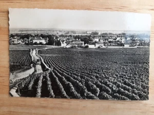 carte photo postal cpa vin Romanée Conti La Tache grande Rue wine label postcard - Bild 1 von 6