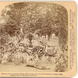 PRESIDENT McKINLEY's Tributes of Love from the Nation--Underwood Stereoview Z27 - Picture 1 of 4