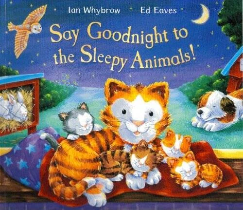 Say Goodnight to the Sleepy Animals - Paperback - GOOD - Image 1 of 1