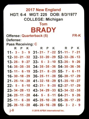 Juego de equipo Punner Up Super Bowl Temporada 2O18 de APBA 2017 - PATRIOTAS DE NUEVA INGLATERRA Foto 1 de 3