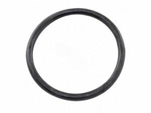 2" UNION/ BULKHEAD O-RING (SUPER-PRO - O-83-9) - Picture 1 of 1