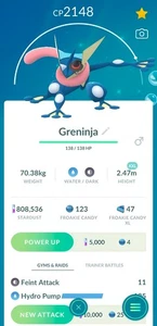 Greninja XXL with a Halloween hat | Tr-de Go ✨ - Picture 1 of 2