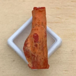 Coral Unpolished Rough Branch-Italian Red Coral Gemstone Loose Rough - Picture 1 of 12