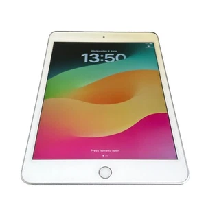 Apple iPad Mini 5th Gen 64GB 7.9in Wi-Fi & 4G Unlocked Silver DK417 - Afbeelding 1 van 9