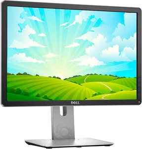 Dell LED Monitor P2016 20" Widescreen 16:10 Professional Business LCD 02YNCP - Picture 1 of 10