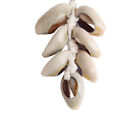 Conch Shell Boho Style Earrings Shell Dangle Earrings Jewelry For Women Gift GDM