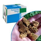 Osmocote Controlled Release Plant Food 7.5g Tablets x 25 + 5 free 8-9 month