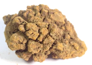 NATURAL FOSSILISED TURTLE COPROLITE / POO / DUNG  55.57 gms 5.0 x 3.3 cms #7 - Picture 1 of 4