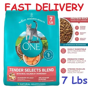 Purina ONE Natural Dry Cat Food, Tender Selects Blend With Real Salmon - 7 lb. - Picture 1 of 6