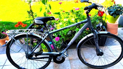 Tourenrad Pegasus Exklusivmodell, 28", 8 Gang Nabenschaltung, metallicsilber - Bild 1 von 2