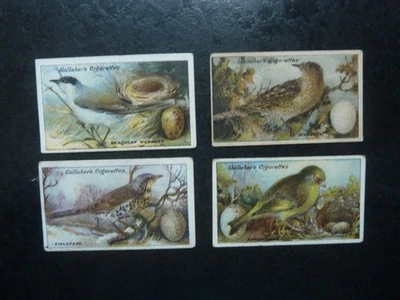 GALLAHER-BIRDS NESTS AND EGGS GALLAHER - Image 1 of 2